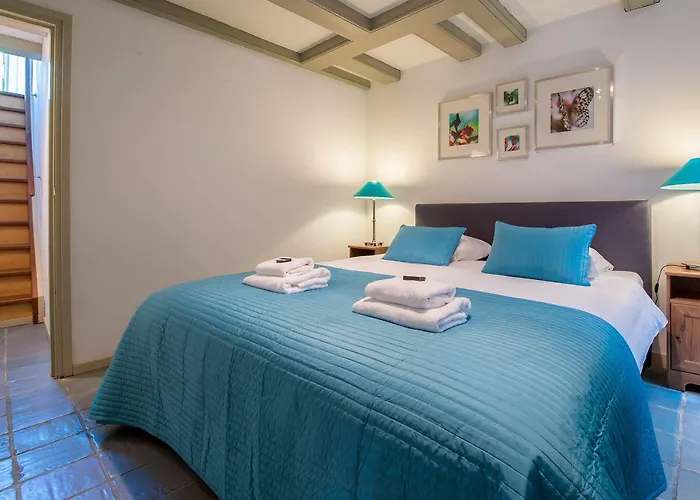 Short Group Carre * Ámsterdam