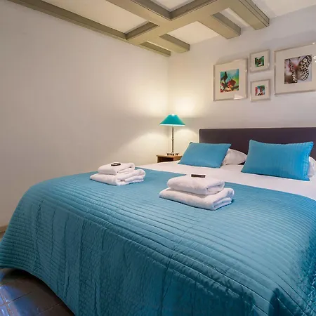 Short Group Carre * Amsterdam